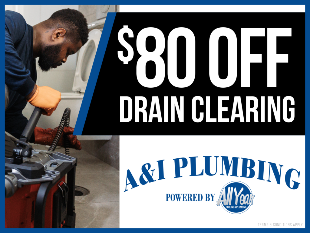 $80 off drain clearning service coupon.